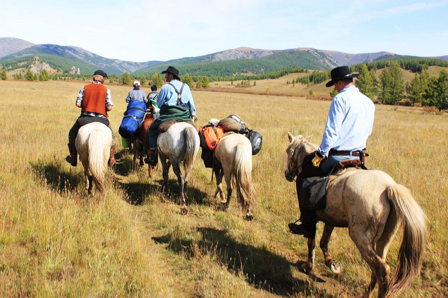 Horse Trails Mongolia - Day Treks image