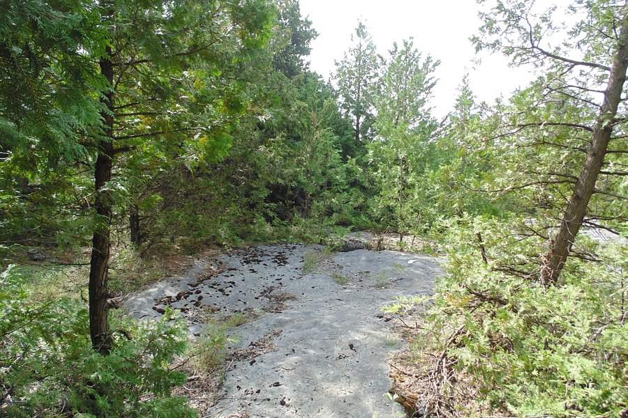 Goodsell Ridge Preserve image