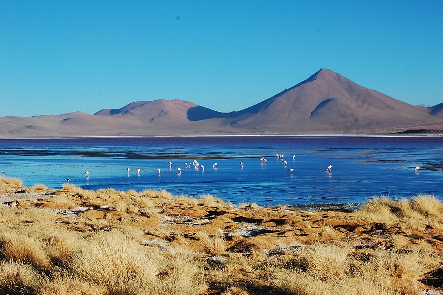 Laguna Colorada image