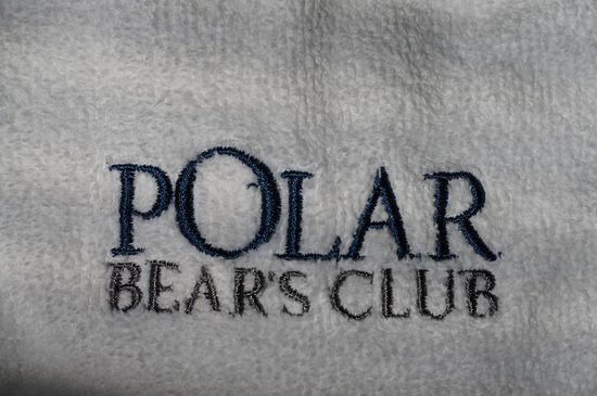 Polar Bear's Club image