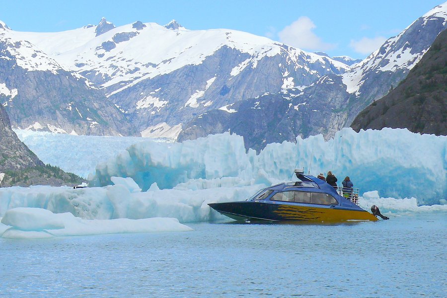 Alaska Charters and Adventures image