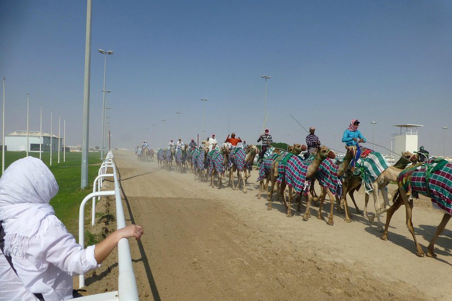 Al Shahaniya Racetrack image