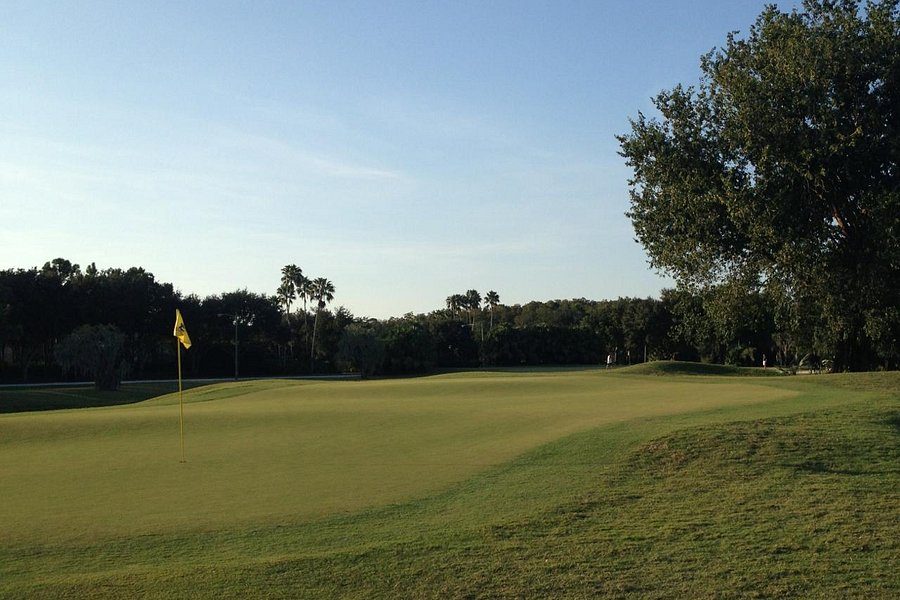 Lansbrook Golf Club image