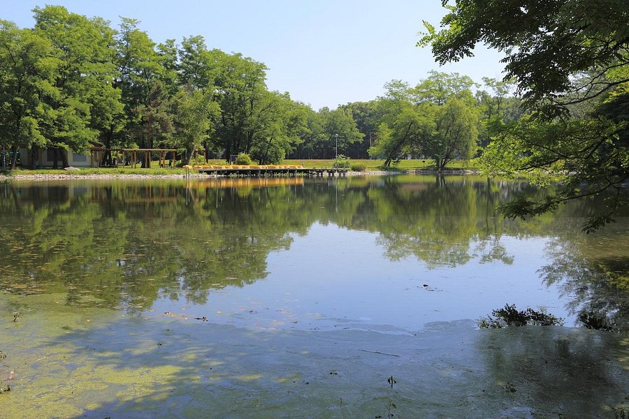 Midorigaoka Park image