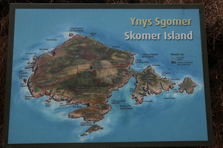Skomer Island image