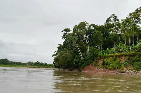 Napo River image
