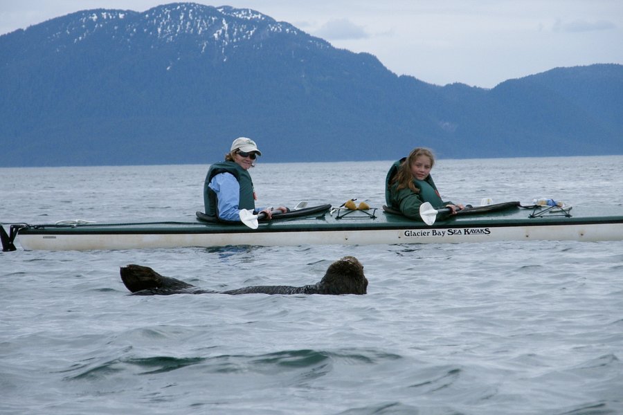 Glacier Bay Sea Kayaks image