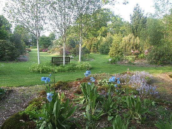 Llwyngarreg Garden image