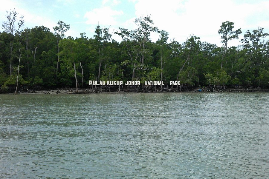 Pulau Kukup National Park image