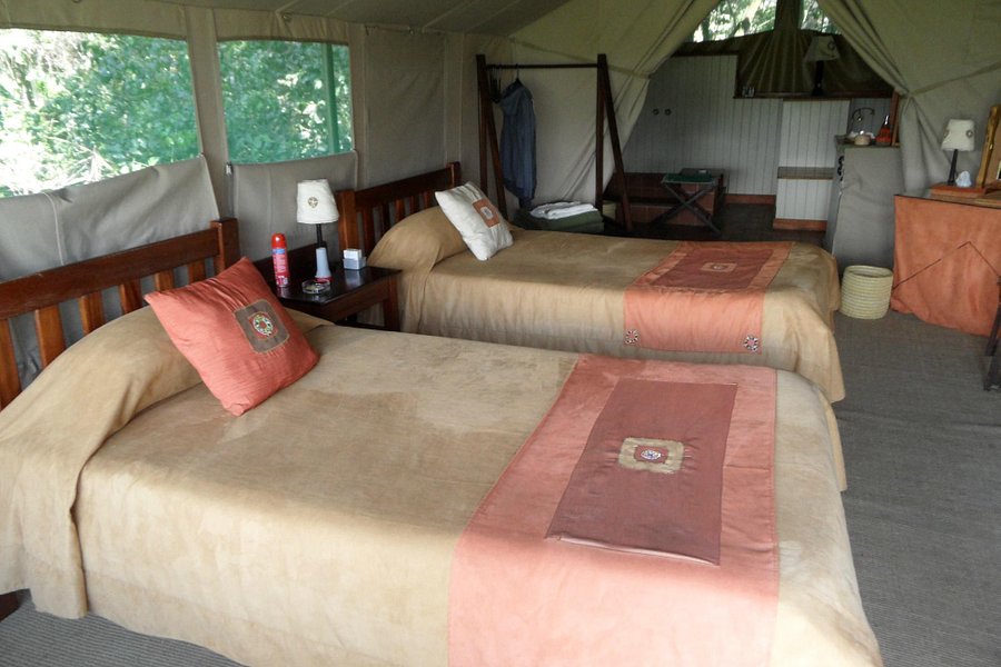 Kingi Safaris - Private Day Tours image