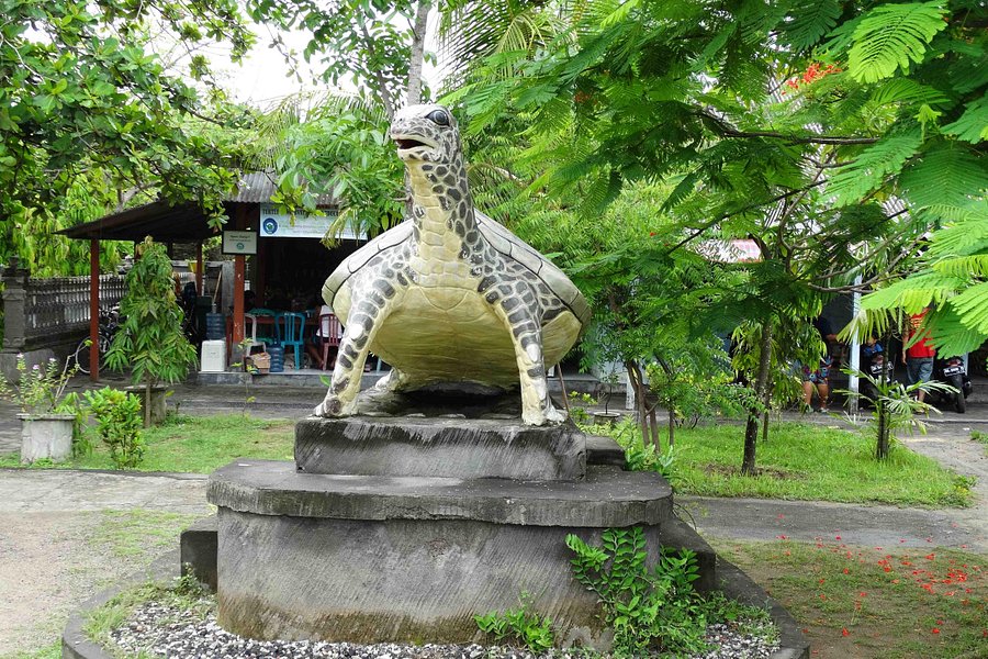 Turtle Conservation and Education Centre image