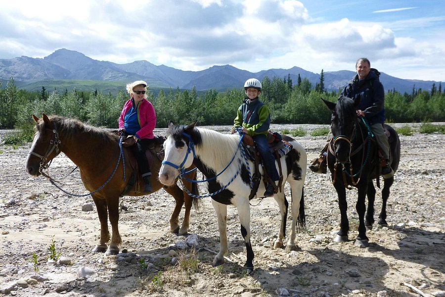Denali Horseback Tours image