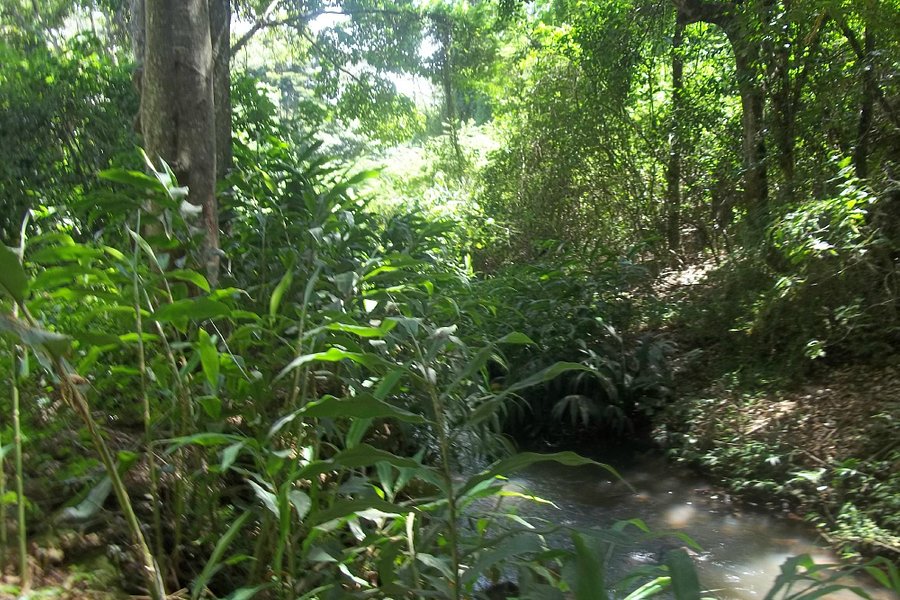 Oloolua Nature Trail image