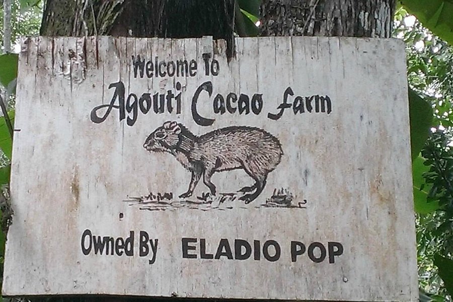 Agouti Cacao Farm image