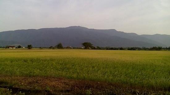Gunung Jerai image