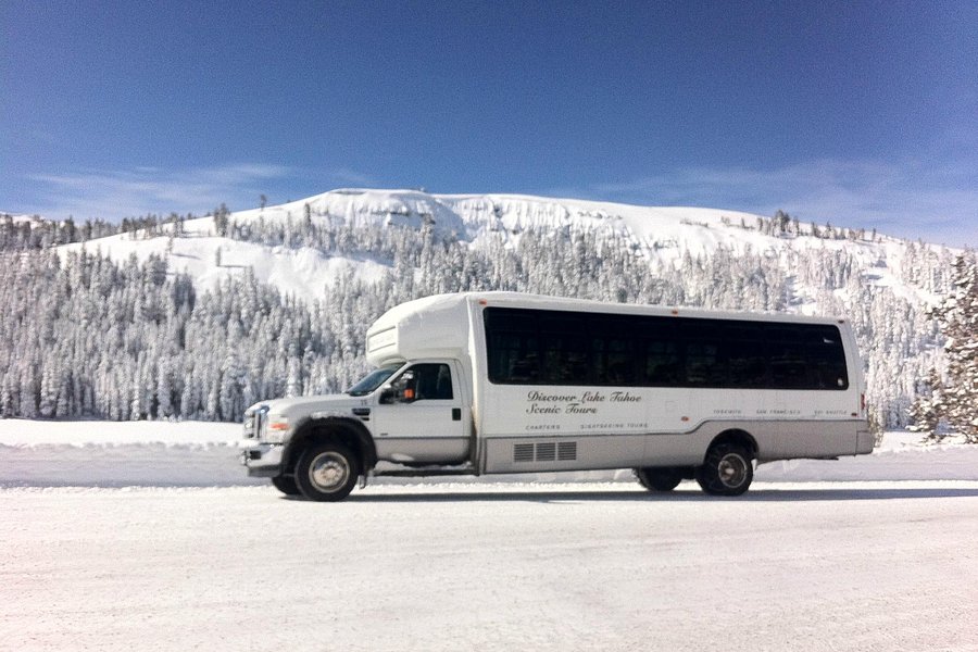 Discover Lake Tahoe - Scenic Bus Tours image