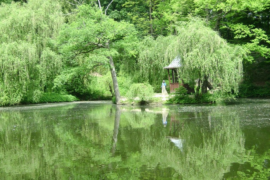Krasnokutsk Arboretum image