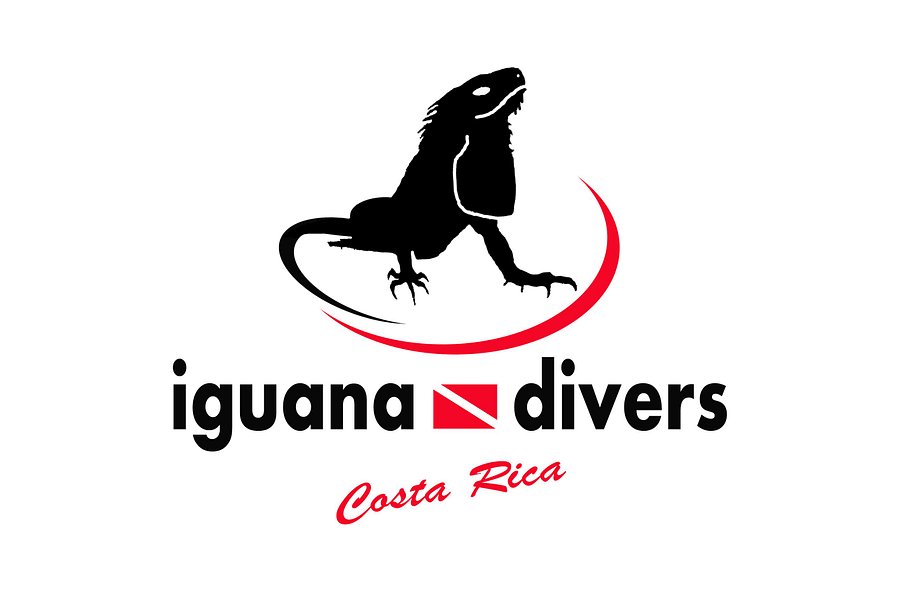 Iguana Divers image