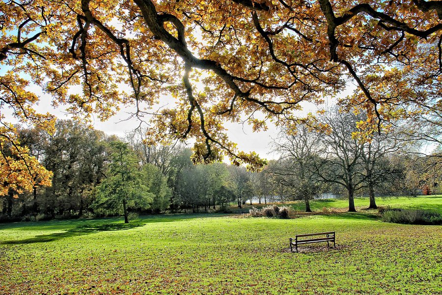 Abington Park image