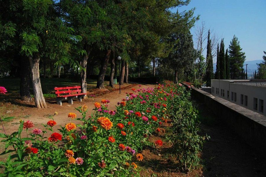 Park of Loutra Ipatis image
