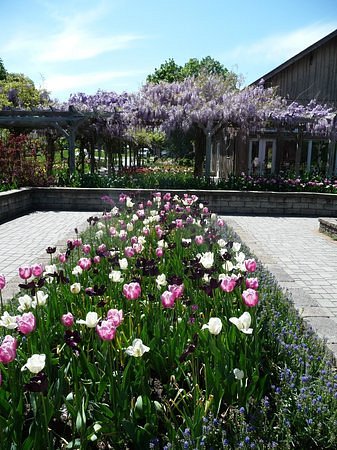 Orange County Arboretum image