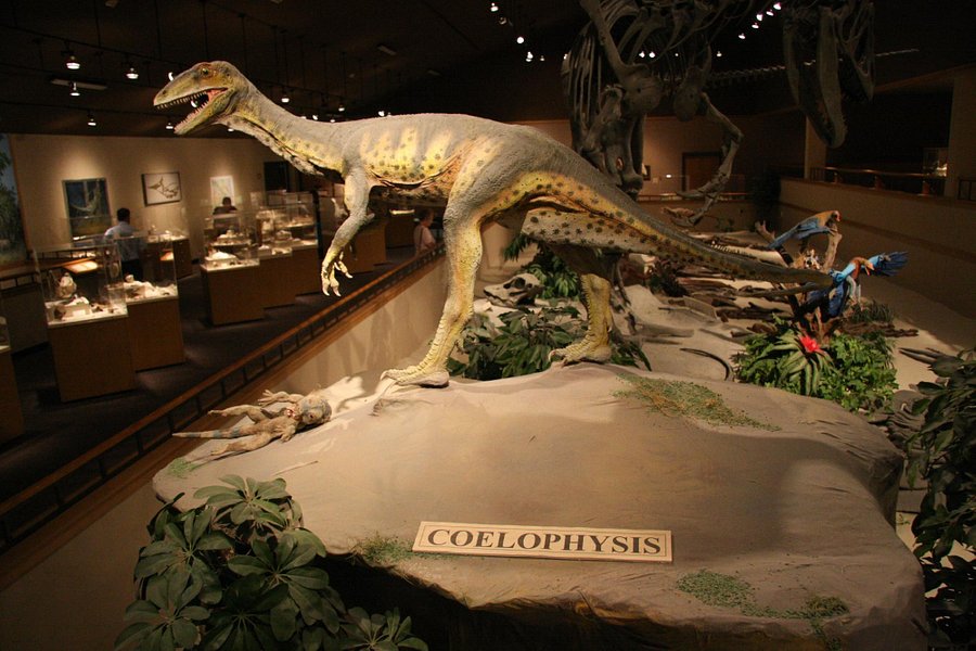 Dakota Dinosaur Museum image