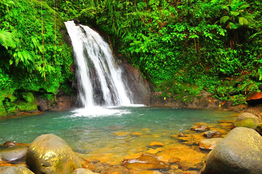 Guadeloupe National Park image