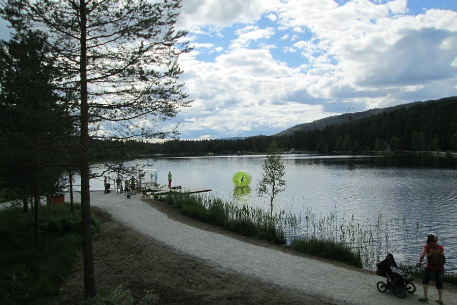 Namsskogan Family Park image