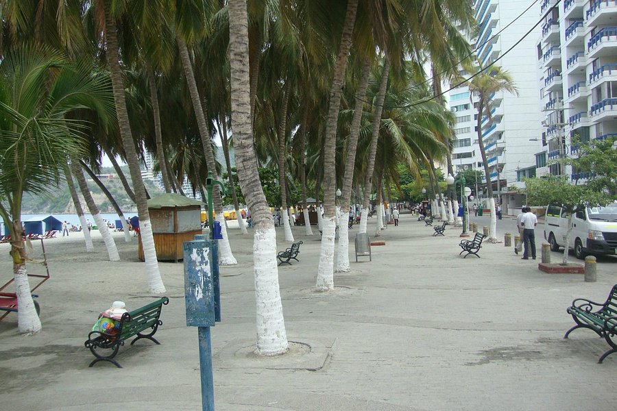 Playa El Rodadero image