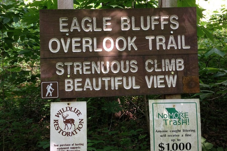 Eagle Bluffs Conservation Area image