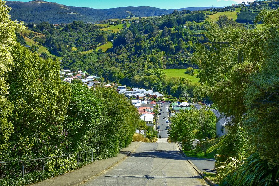 Baldwin Street: The Steepest Street in the World image