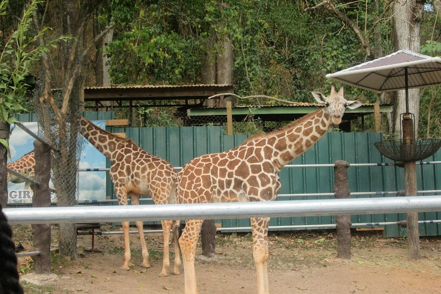 Emperor Valley Zoo image