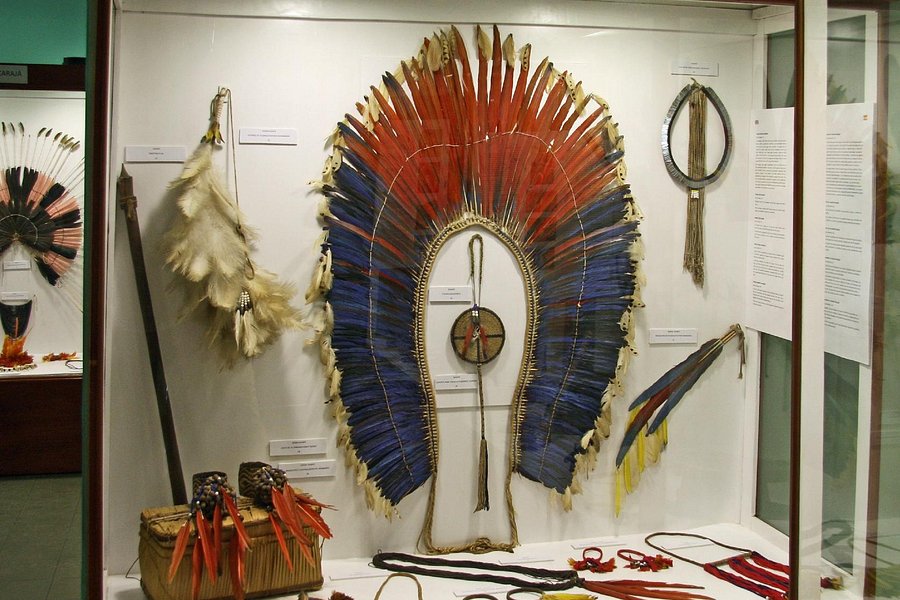 Museum of Indigenous Amazonian Cultures image