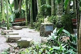 Cemiterio De Gatos image