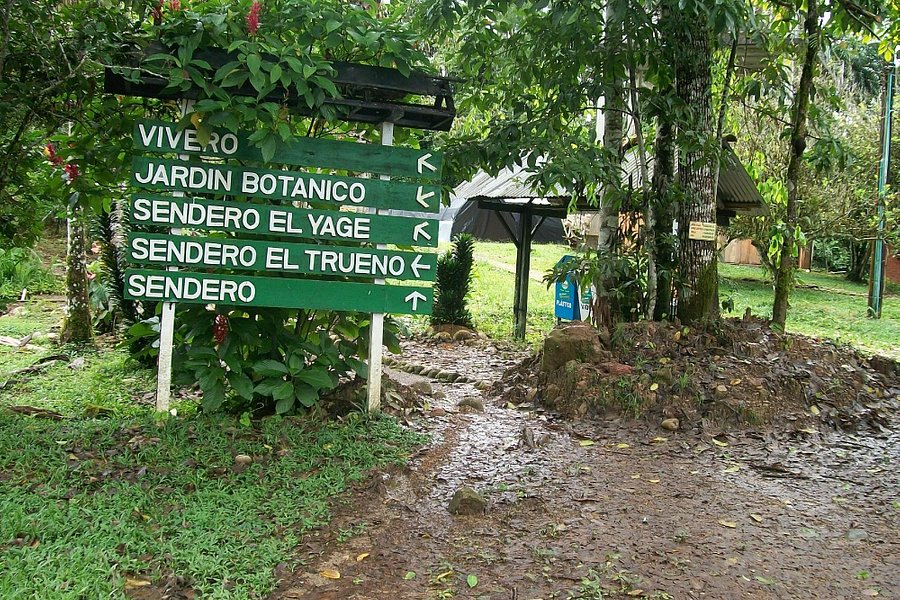 Centro Experimental Amazonico image