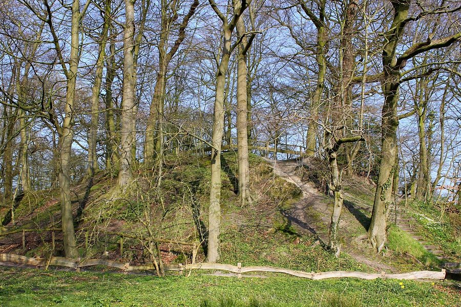 Elmendorf Burg image
