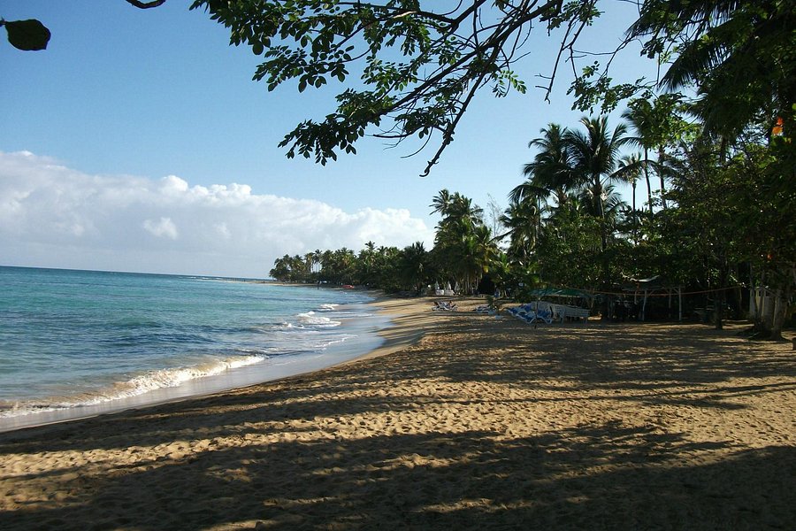 Playa Punta Popy image