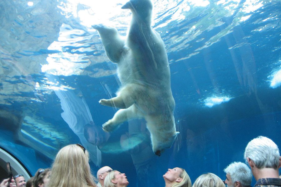 Pittsburgh Zoo & Aquarium image