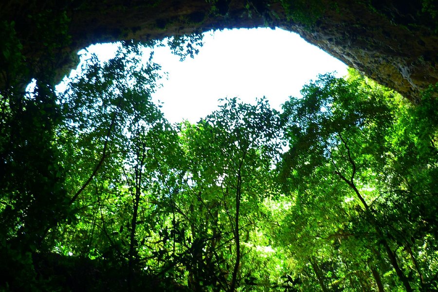 Clara Cave (Cueva Clara) image