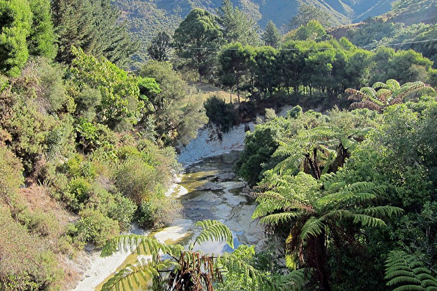 Whanganui River image