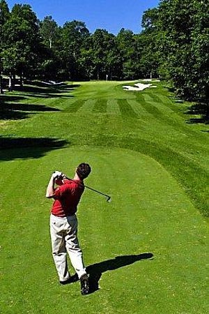 Nobleton Lakes Golf Club image
