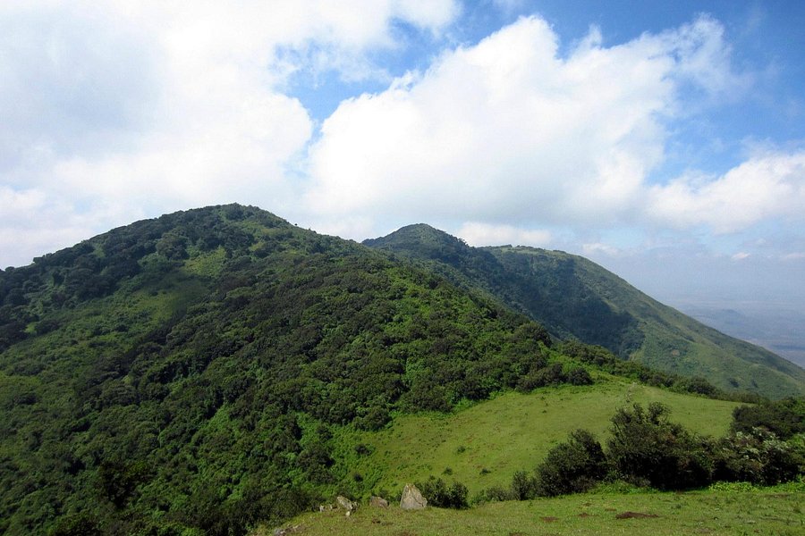 Ngong Hills image