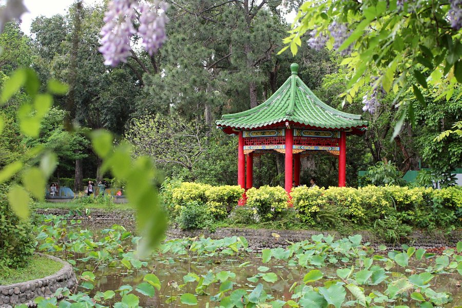 The Botanical Garden image