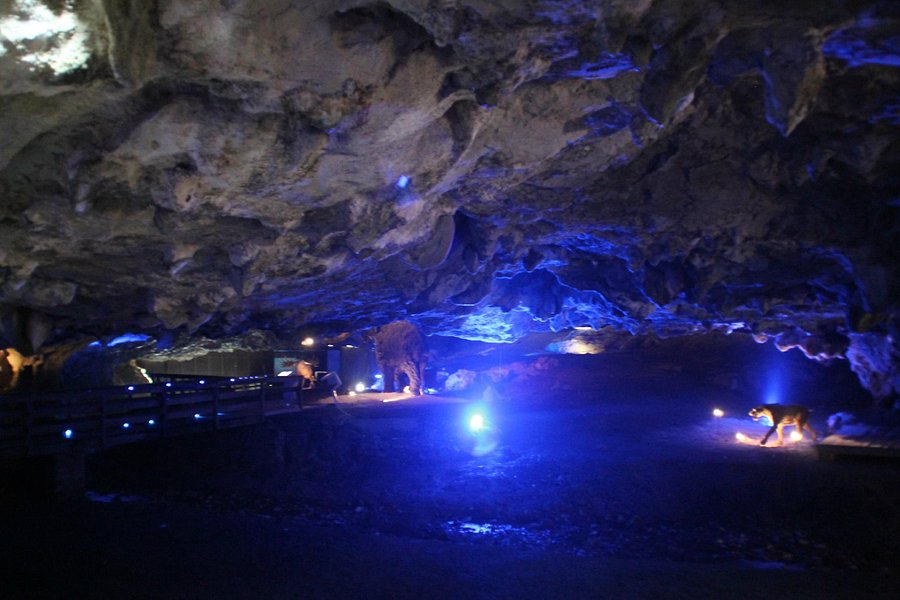 Cueva de La Peruyal image