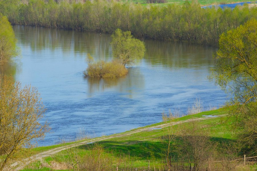 Seym River image