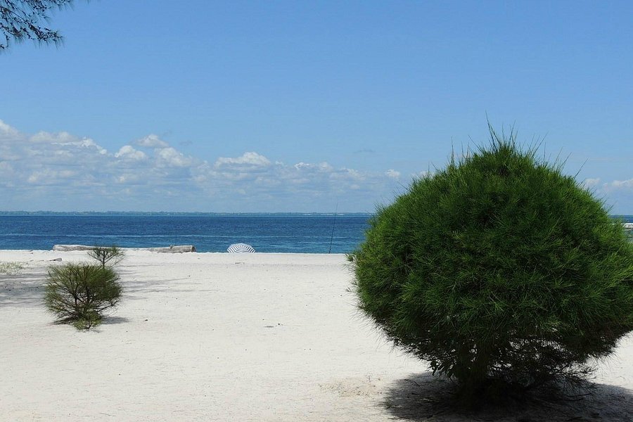 Pointe-Denis Beach image