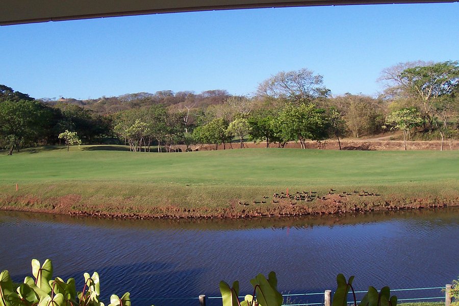Garra de Leon Golf Course image