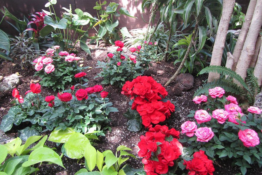 Regina Floral Conservatory image