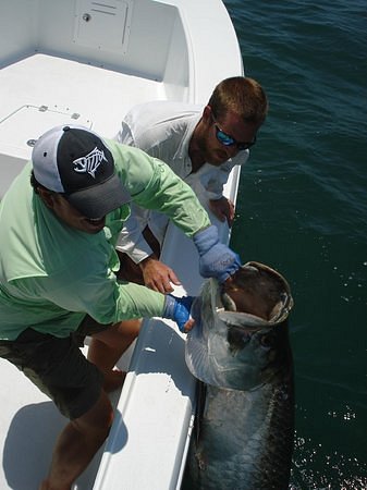 Fishing Charters with Captain Matt Santiago image