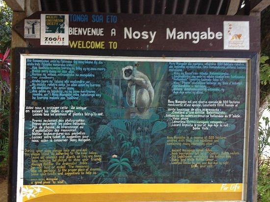 Nosy Mangabe Special Reserve image